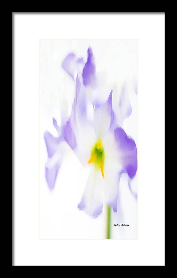 Flower Framed Print featuring the digital art Purple Flowers by Rafael Salazar