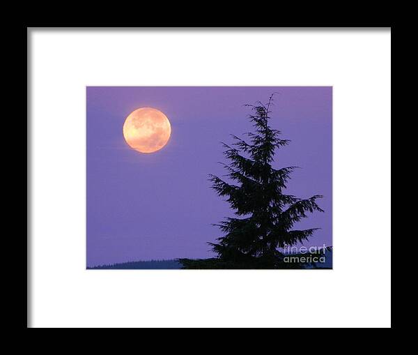 Purple Framed Print featuring the photograph Purple by Gallery Of Hope 