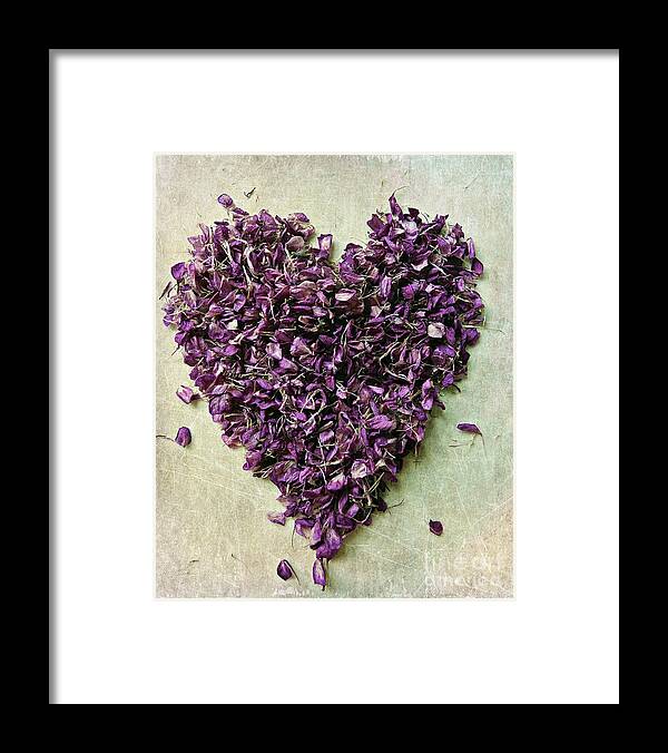 Purple Framed Print featuring the photograph Purple Heart by Patricia Strand