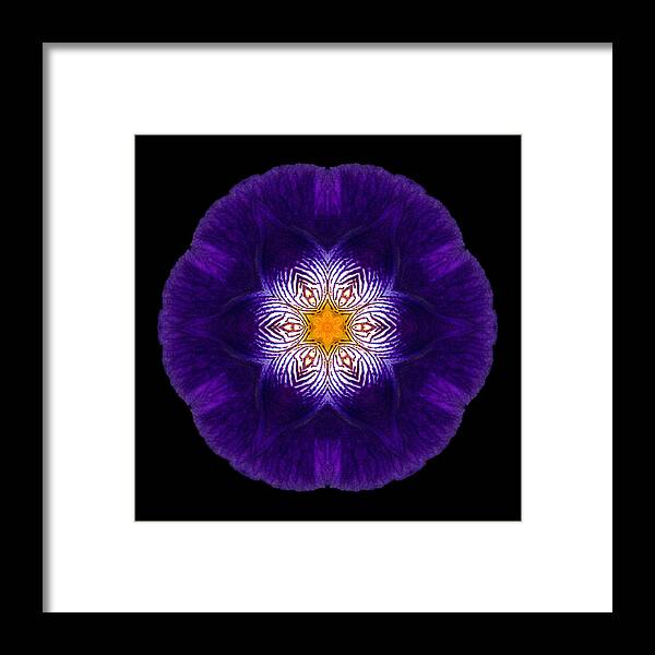 Flower Framed Print featuring the photograph Purple Iris II Flower Mandala by David J Bookbinder