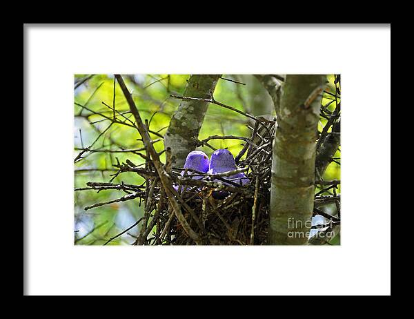 Peeps Framed Print featuring the photograph Purple Peeps Pair by Al Powell Photography USA
