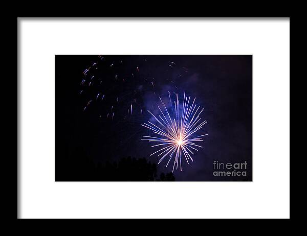  Framed Print featuring the photograph Purple Power by Suzanne Luft