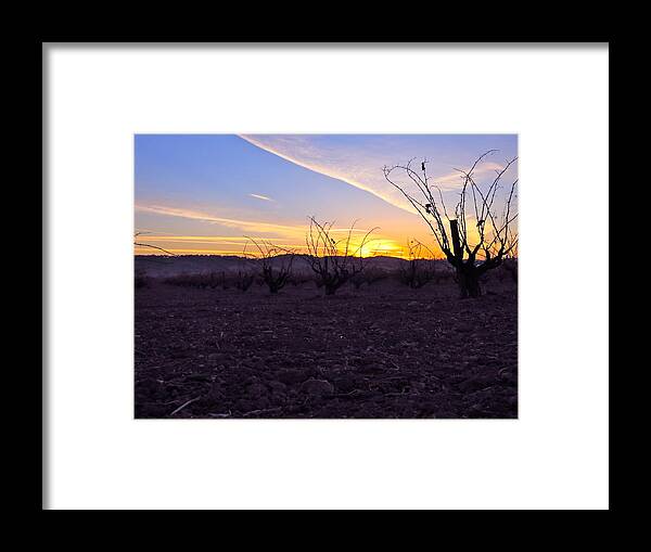 Sunrise Framed Print featuring the photograph Purple Zin Sunrise by Paul Foutz