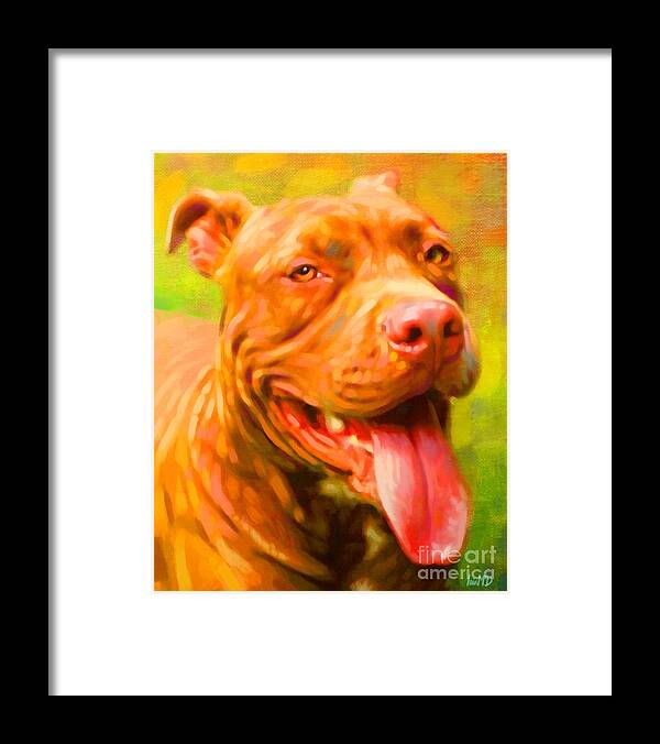 Dog Paintings Framed Print featuring the painting Pit Bull Portrait by Iain McDonald