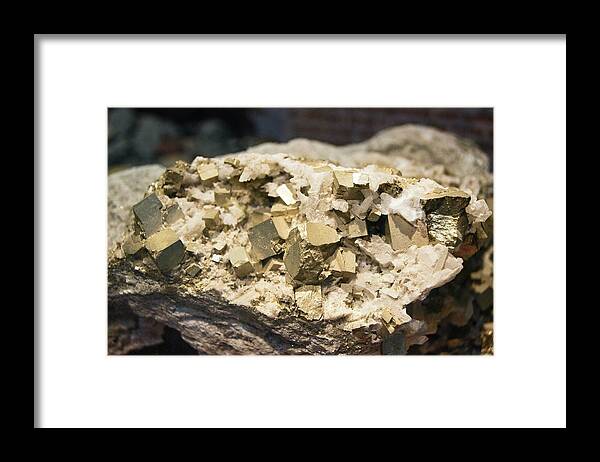 Mineral Framed Print featuring the photograph Pyrite Crystals. by Mark Williamson/science Photo Library