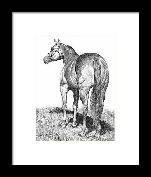 Quarterhorse Framed Print featuring the drawing Quarter Horse Assets by Suzanne Schaefer