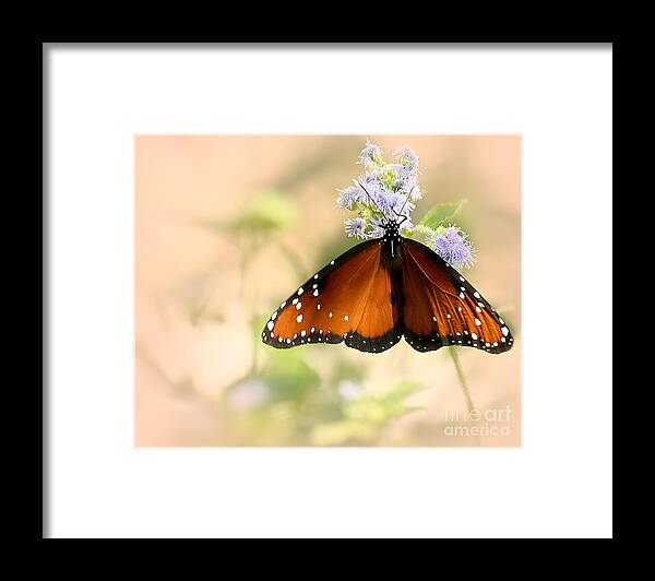 Angelic Framed Print featuring the photograph Queeny by Sabrina L Ryan