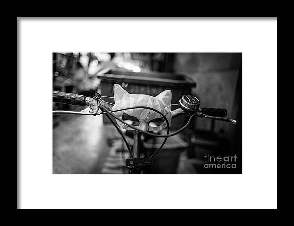 Cat Framed Print featuring the photograph Quick to the Catmobile by Dean Harte