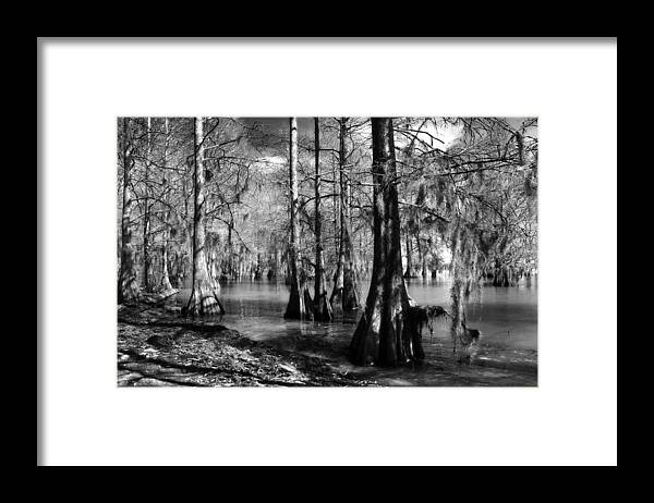 Landscape Framed Print featuring the photograph Quiet Cypress Cove by Deborah Smith