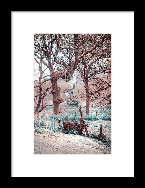 Nature Framed Print featuring the photograph Quiet Place. Nature in Alien Skin by Jenny Rainbow
