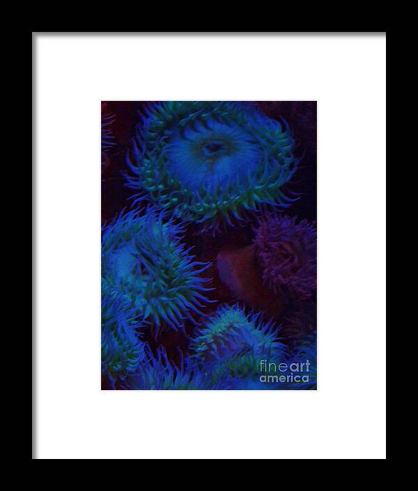 Anemones Framed Print featuring the photograph Quiet Undersea World by Brigitte Emme