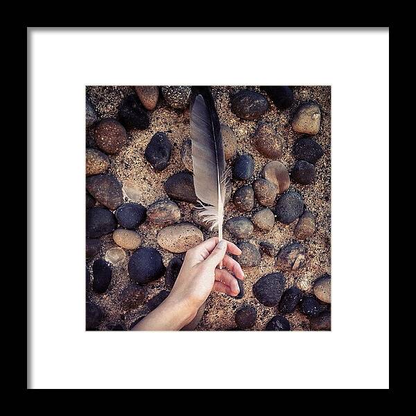 Stones Framed Print featuring the photograph Quill by Rachel Waters
