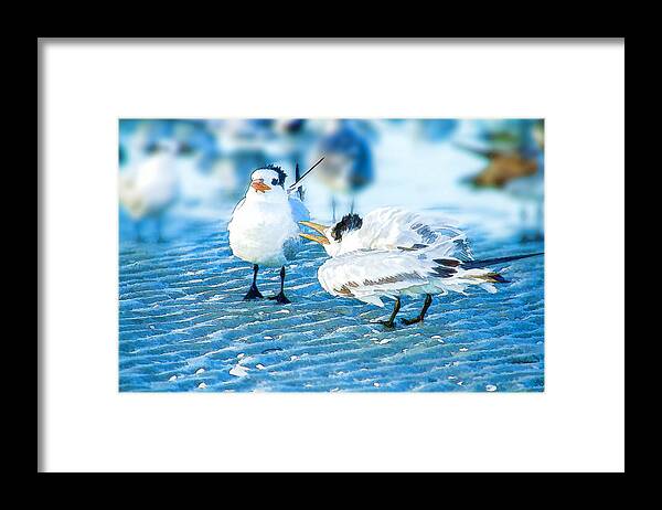 Bird Framed Print featuring the photograph Quit Your Bitchin' by Jerry Nettik