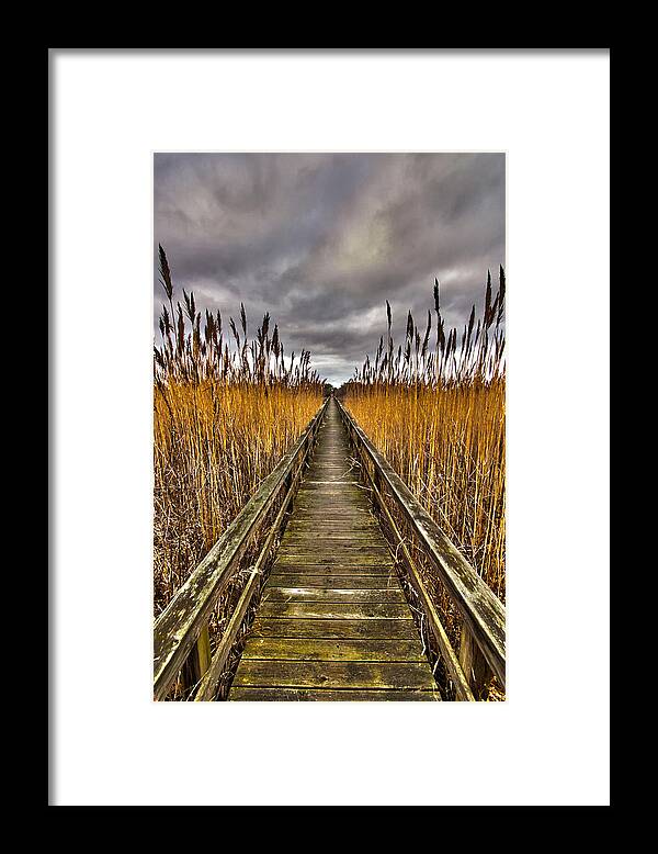 Quogue Wetlands Preserve Framed Print featuring the photograph Quogue Wetlands Preserve - 2 by Robert Seifert