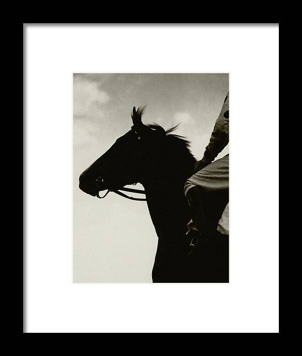 Animal Framed Print featuring the photograph Race Horse Gallant Fox by Edward Steichen