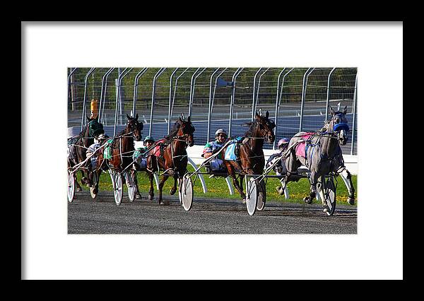 Horse Framed Print featuring the photograph Race to the Finish by Davandra Cribbie