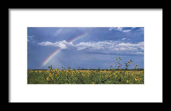 Kansas Framed Print featuring the photograph Rainbow over sunflowers by Rob Graham