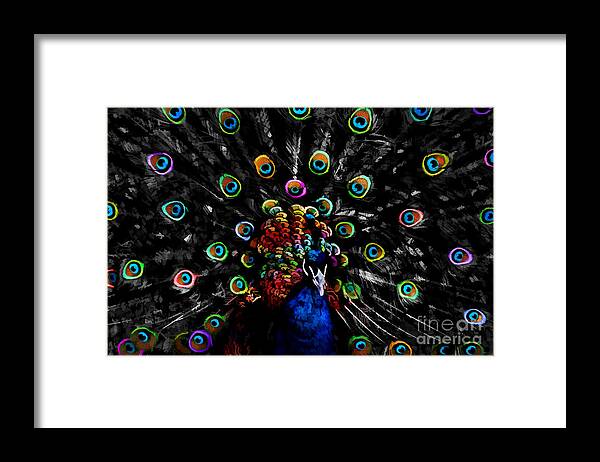 Colorful Peacock Framed Print featuring the digital art Rainbow Peacock by Jayne Carney