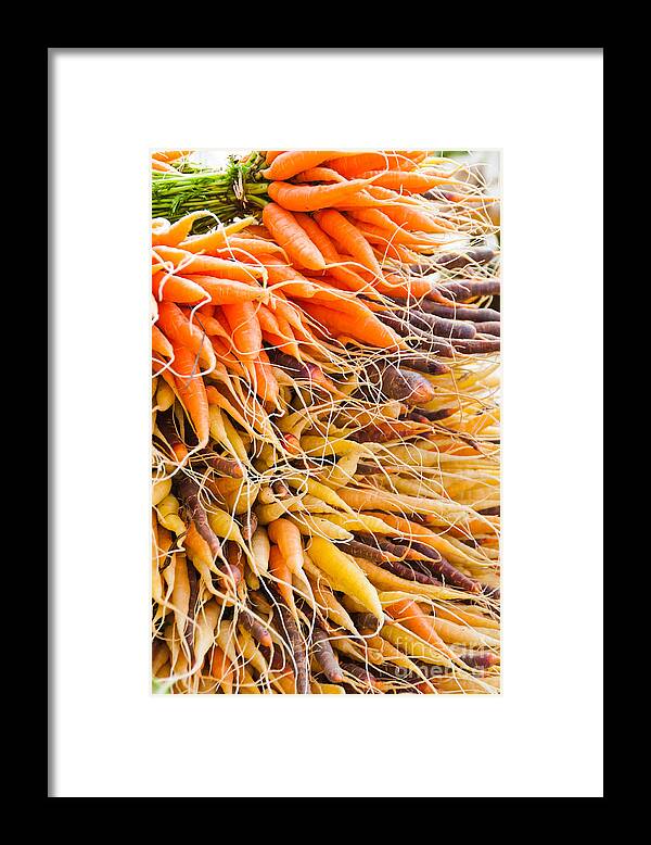 Carrots Framed Print featuring the photograph Rainbow Roots by Cheryl Baxter