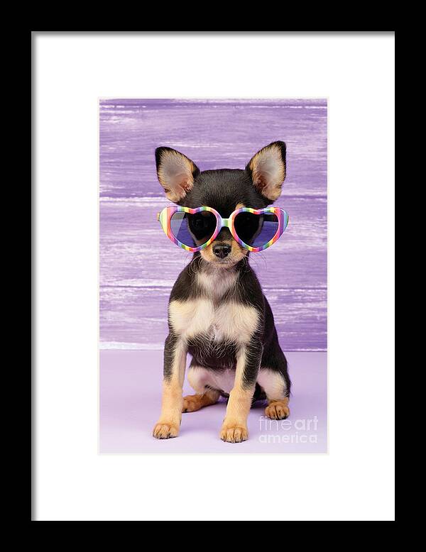 Sunglasses Framed Print featuring the digital art Rainbow Sunglasses by MGL Meiklejohn Graphics Licensing