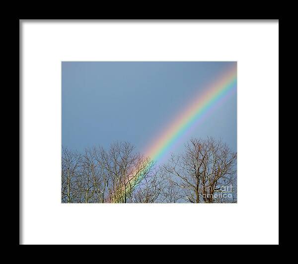 Artoffoxvox Framed Print featuring the photograph Rainbow through the Tree Tops by Kristen Fox