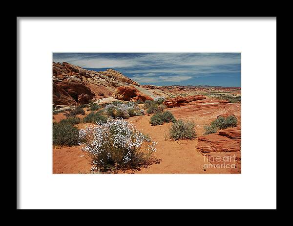 Canyons Framed Print featuring the photograph 601P Rainbow Vista in the Valley of Fire by NightVisions
