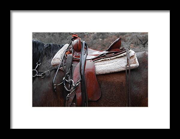 Horse Art Framed Print featuring the photograph Rained Out by Jani Freimann