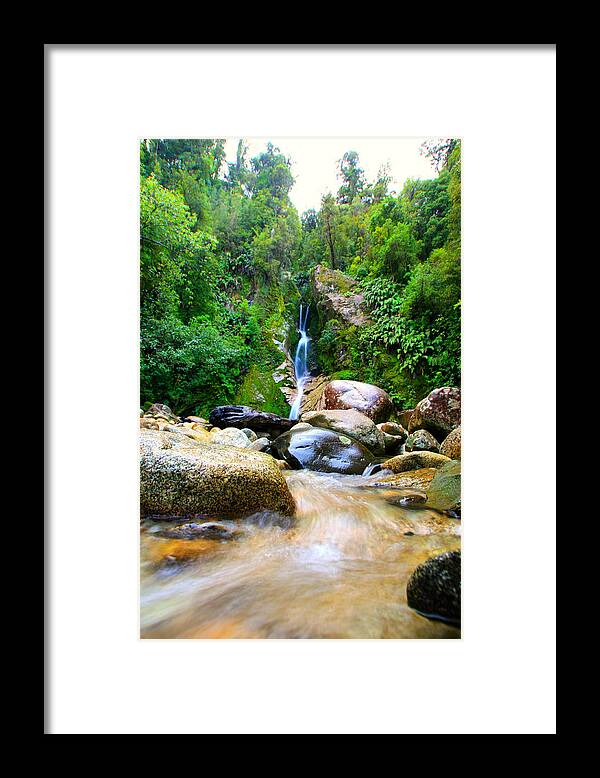 Waterfall Framed Print featuring the photograph Rainforest Stream New Zealand by Amanda Stadther