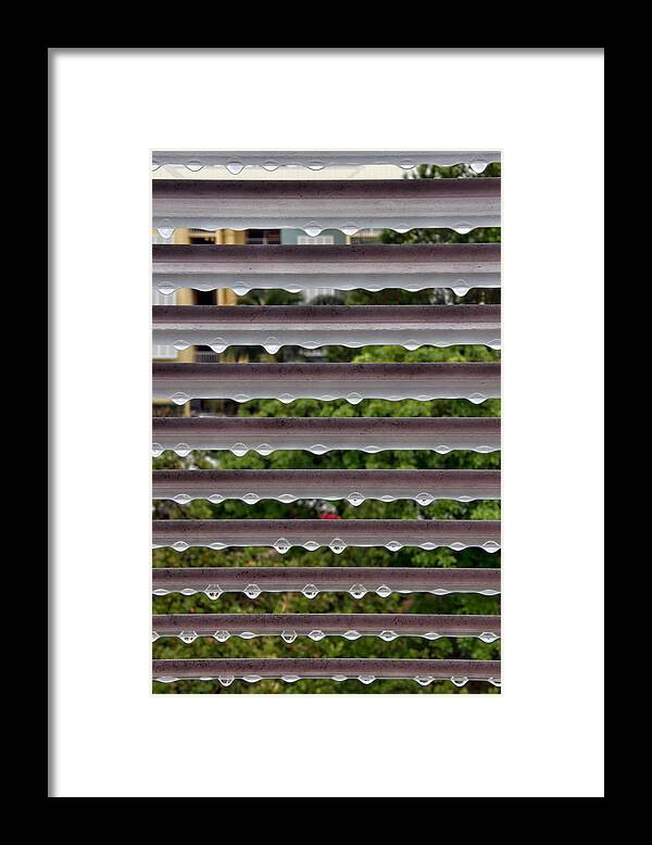 Rain Framed Print featuring the photograph Raining in Key West by Bob Slitzan