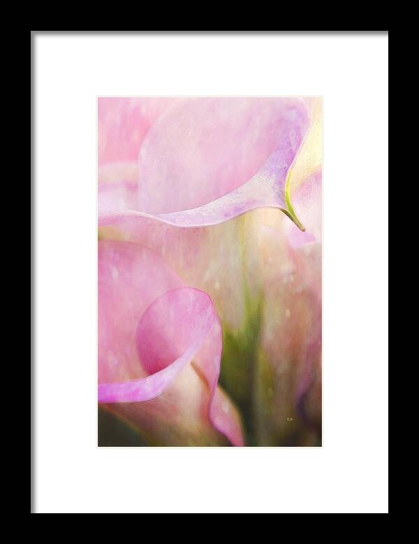 Shabby Chic Framed Print featuring the photograph Rainy Day Calla Lilies by Theresa Tahara
