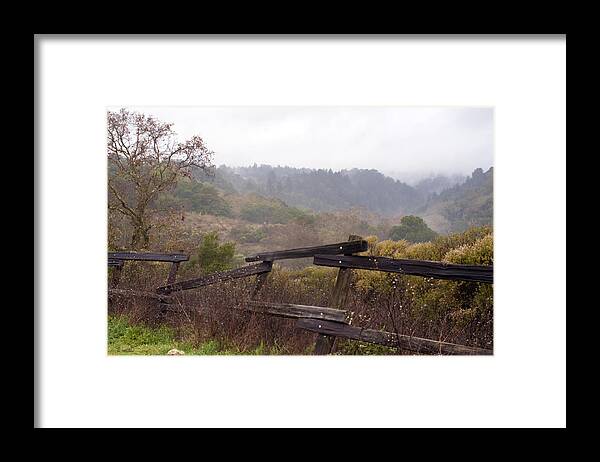 Mountain Framed Print featuring the photograph Santa Cruz mountains in fog by Haleh Mahbod