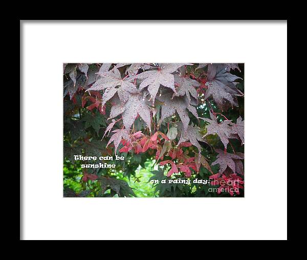 Japanese Maple Framed Print featuring the photograph Rainy Day Sunshine by Christina Verdgeline