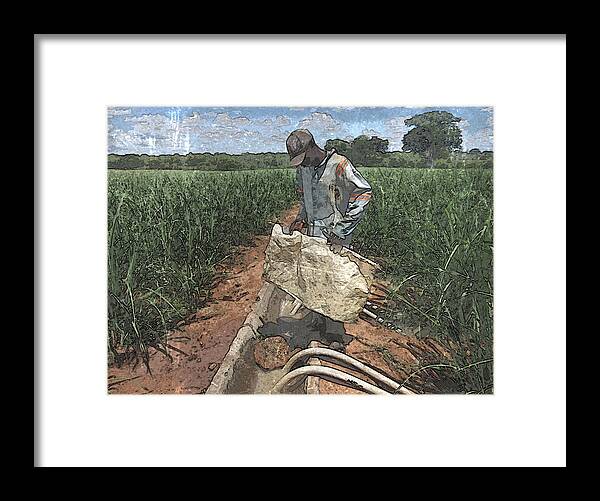 African Framed Print featuring the photograph Raising Cane by Al Harden