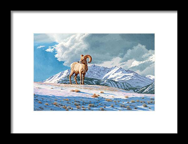 Bighorn Sheep Framed Print featuring the painting Ram and Electric Peak by Paul Krapf