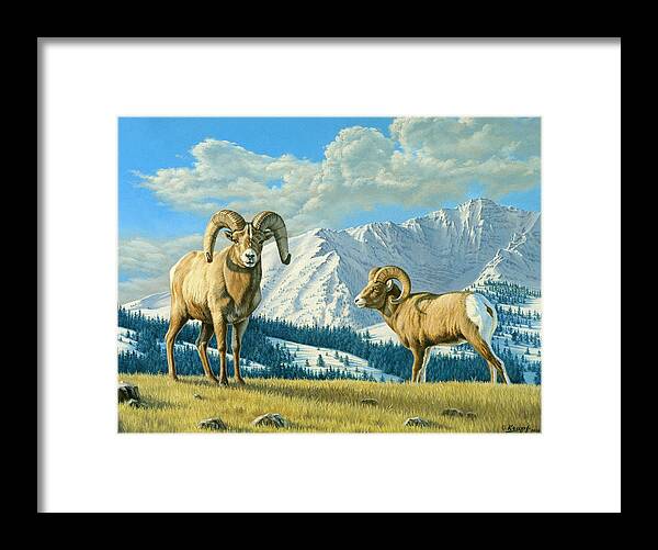 Wildlife Framed Print featuring the painting Rams On The Ridge by Paul Krapf