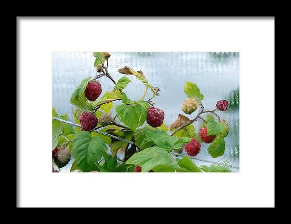 Agriculture Framed Print featuring the digital art Raspberries on a fence by Debra Baldwin