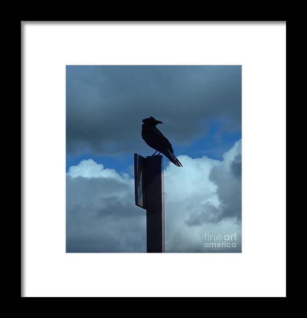 Sky Framed Print featuring the photograph Raven Checking The Wind by Jacklyn Duryea Fraizer