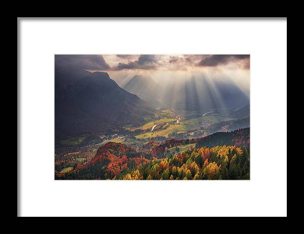 Light Framed Print featuring the photograph Rays Of Light by Ales Krivec