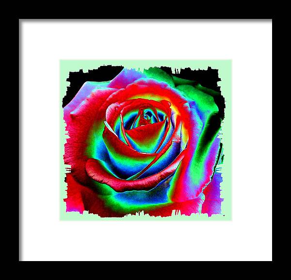 Razzle Dazzle Rose Framed Print featuring the digital art Razzle Dazzle Rose by Will Borden