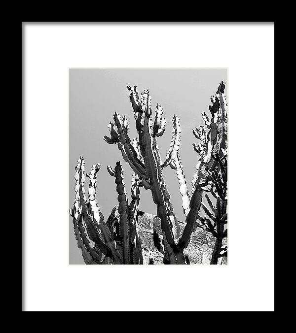 Ca Framed Print featuring the photograph THE REACH Desert Hot Springs CA by William Dey