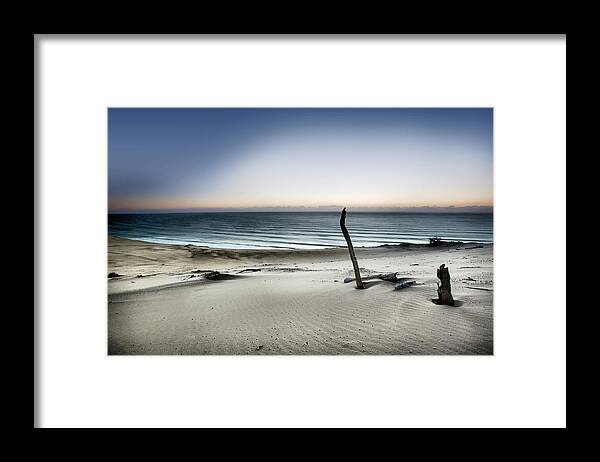 Sand Framed Print featuring the photograph Reach For The Sun by Mel Brackstone