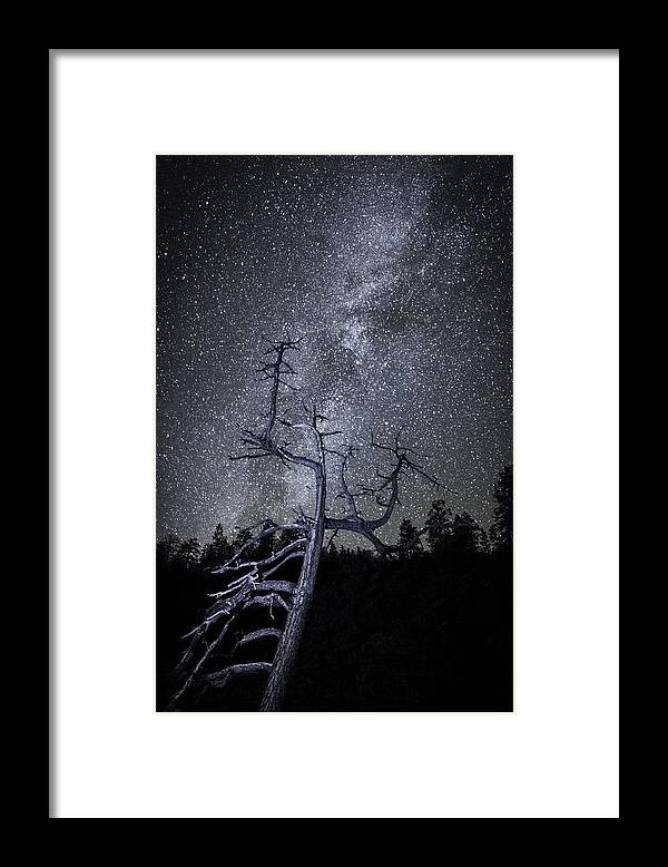 Nancy Strahinic Framed Print featuring the photograph Reaching For The Stars by Nancy Strahinic