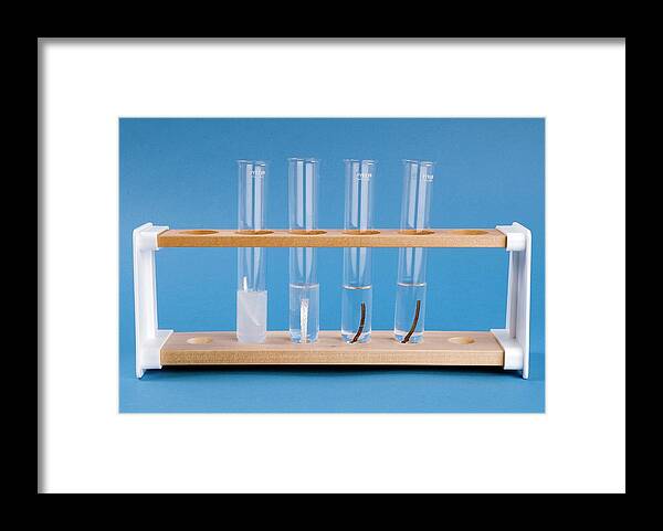 Nobody Framed Print featuring the photograph Reactivity Of Magnesium by Trevor Clifford Photography