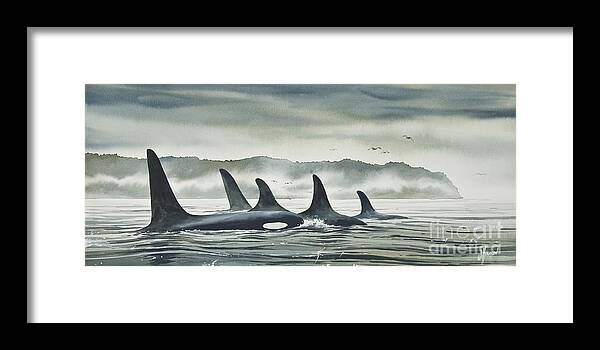 Orca Paintings Framed Print featuring the painting Realm of the Orca by James Williamson