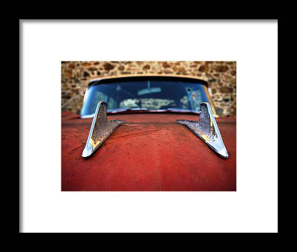 Ika 5829-2 Framed Print featuring the photograph Rebel Fins by Richard Reeve