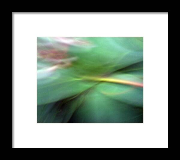 Rebirth Framed Print featuring the photograph Rebirth of a Plant by Munir Alawi