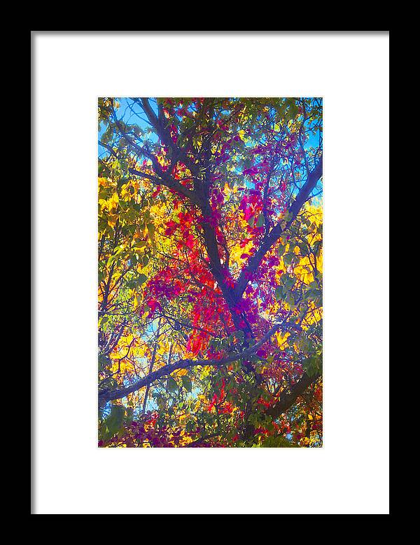 Fall Framed Print featuring the photograph Red #2 by Kathy Besthorn