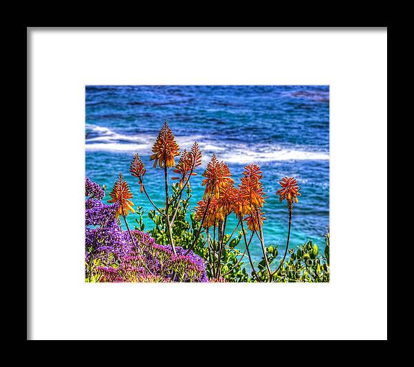 Red Framed Print featuring the photograph Red Aloe by the Pacific by Jim Carrell