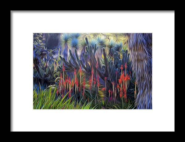 Aloe Framed Print featuring the photograph Red Aloe - Huntington Gsrden by Saxon Holt