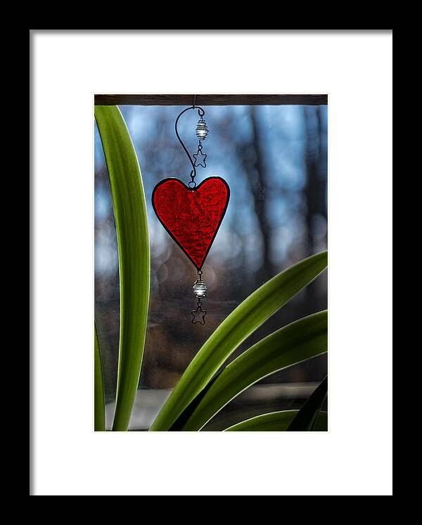 Heart Framed Print featuring the photograph Red and Green by Wayne Meyer